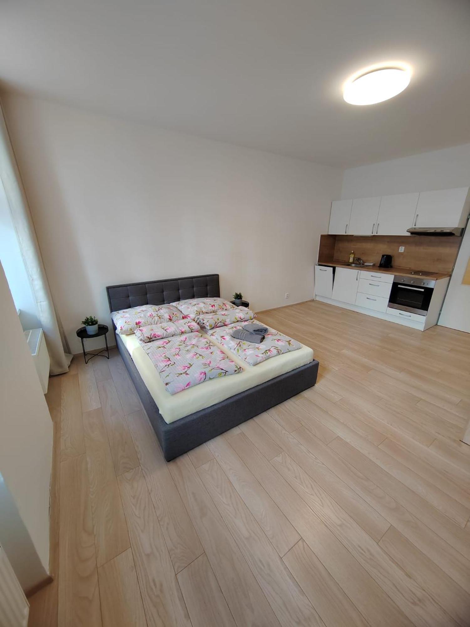Apartia Vlhka 26, Brno-Center المظهر الخارجي الصورة